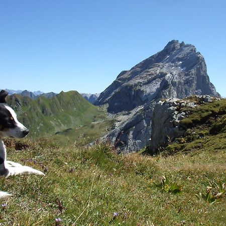 Sonnenhaus Sander Schruns Kültér fotó