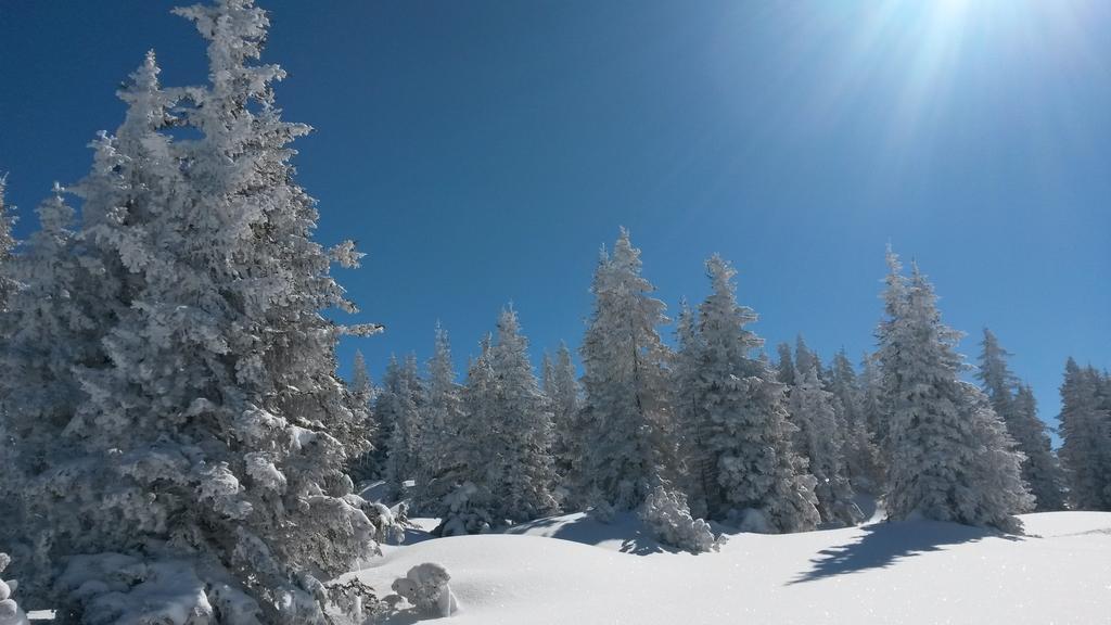 Sonnenhaus Sander Schruns Kültér fotó