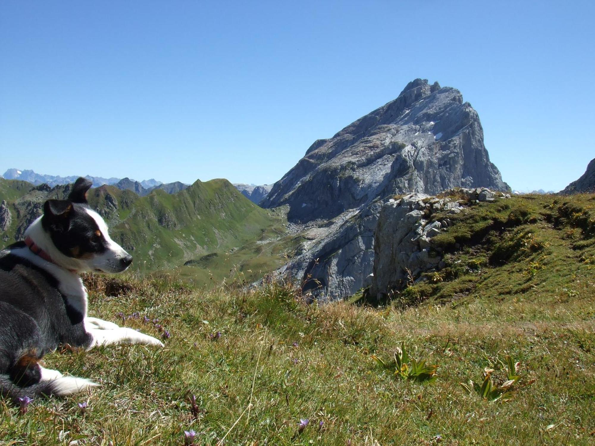 Sonnenhaus Sander Schruns Kültér fotó