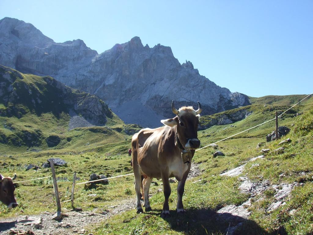 Sonnenhaus Sander Schruns Kültér fotó
